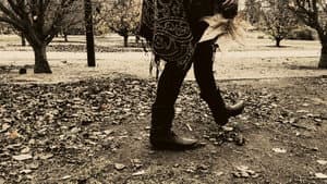Meshes of an Autumn Afternoon — foto 3