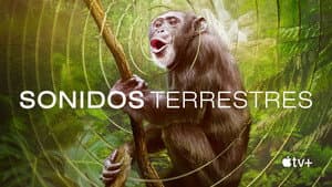 Sonidos de la Tierra — foto 8