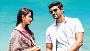 జయ జానకి నాయక — foto 4