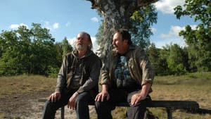 Små mirakel och stora — foto 5