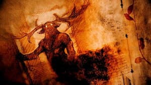 Des bêtes et des sorcières — foto 1