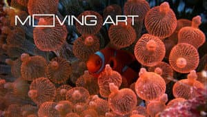 Moving Art — foto 7