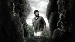 കമല — foto 3