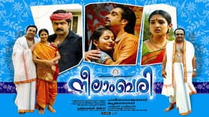 നീലാംബരി — foto 1