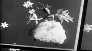 Suzy Snowflake — foto 1