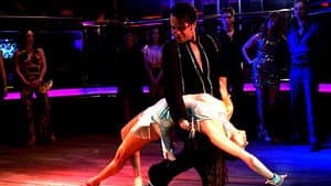 The Last Disco — foto 3