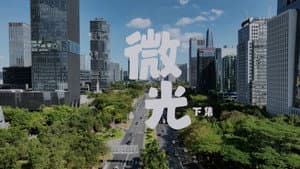 Episodio 12