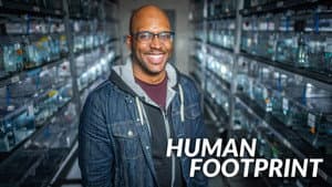 Human Footprint — foto 5