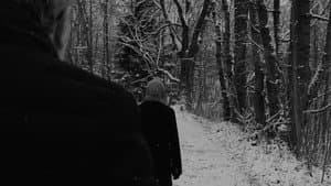 Patho Film, Wolfelsgrund — foto 3