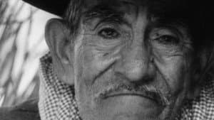 El camino hacia la muerte del viejo Reales — foto 1