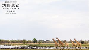 Planet Earth: Forces of Nature — foto 4