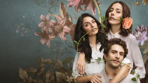 La casa de las flores — foto 8