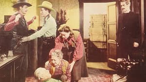 Cowboy Cavalier — foto 1