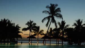 Die letzten Paradiese — foto 1
