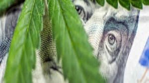 Cannabis : quand le deal est légal — foto 1