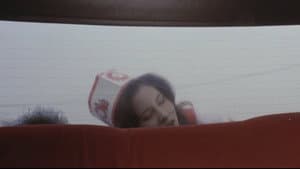後から前から — foto 9