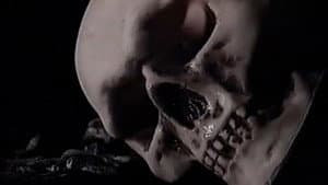 Death ...is just the beginning — foto 1