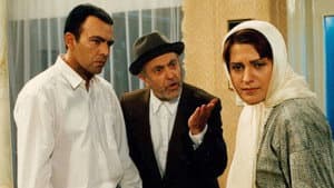 رنگ شب — foto 1