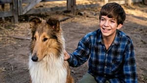 Lassie: Well of Love — foto 2