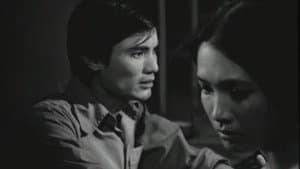 Bao giờ cho đến tháng Mười — foto 6