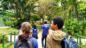 O Terceirão dos Lobos — foto 1