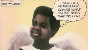 The Kid with the Broken Halo — foto 1