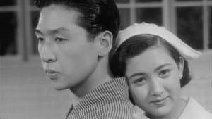 看護婦の日記 — foto 1