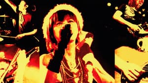 Acoustic LIVE DVD Collection -Falcom x jdkTV- — foto 1