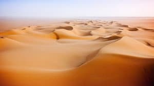 Wild Arabia — foto 2