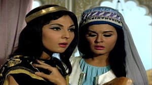 فارس بني حمدان — foto 1