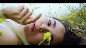 Petals — foto 1