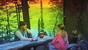 Ptice koje ne polete — foto 2