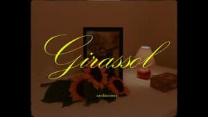 Girassol — foto 1