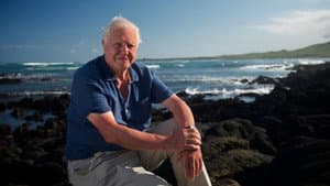 David Attenborough's Global Adventure — foto 2