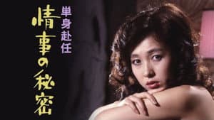 単身赴任 情事の秘密 — foto 1