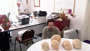 Episodio 10
