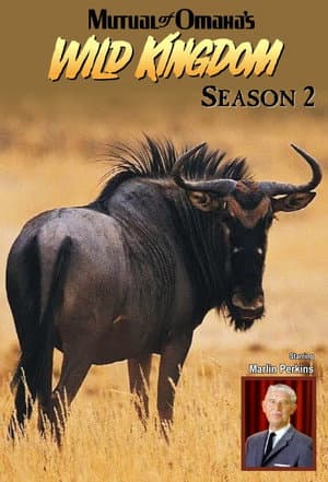 Temporada 2