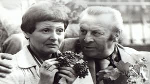Bezkresne łąki — foto 1