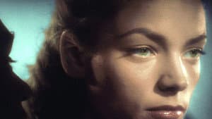 Lauren Bacall, ombre et lumière — foto 3