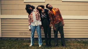 Jimi Could Have Fallen from the Sky — foto 10