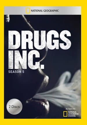 Temporada 5