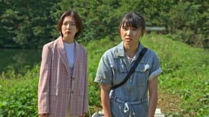냉장고 안의 코끼리 — foto 3