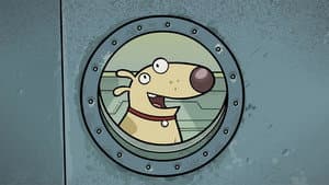 Dogstar — foto 1