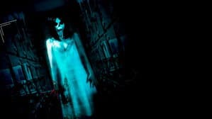 Paranormal Asylum: The Revenge of Typhoid Mary — foto 2