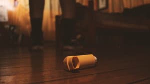 Sónosis — foto 1