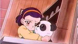 Episodio 23