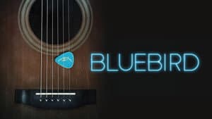 Bluebird — foto 3