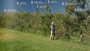 The Permaculture Orchard: Beyond Organic — foto 1