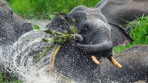 Nature's Great Divide — foto 1