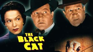The Black Cat — foto 5
